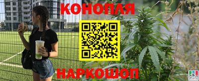 ALPHA PVP Гусь-Хрустальный