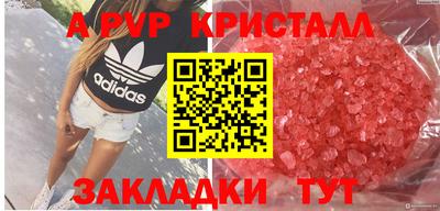 скорость Гусев
