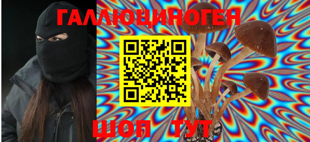 Псилоцибиновые грибы мухоморы Ленинск-Кузнецкий