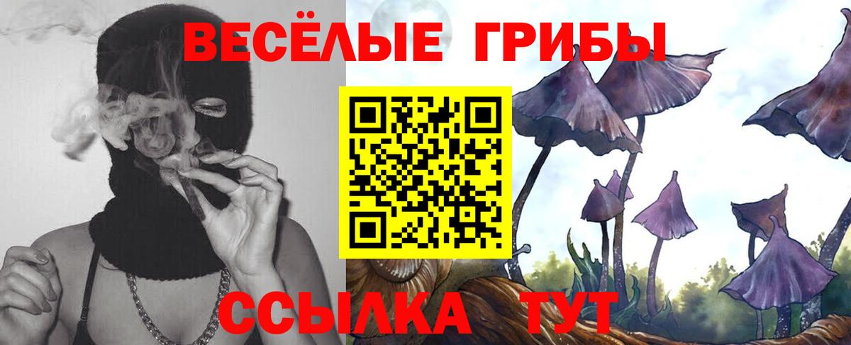 Ленинск-Кузнецкий  Галлюциногенные грибы Psilocybine cubensis  Псилоцибиновые грибы Cubensis  Вход с VPN 